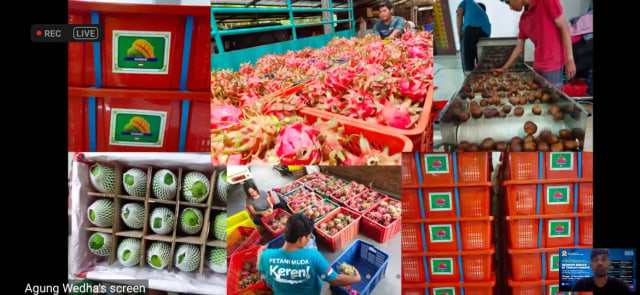 kb261120 hjamwnq7xo36byevhc0w