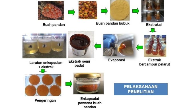 pandan