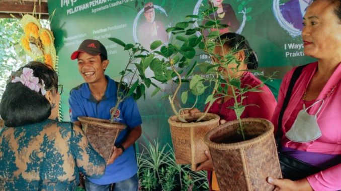 tanaman obat di Ubud