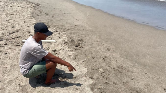 Lokasi kejadian di Pantai Berawa, Canggu - IST