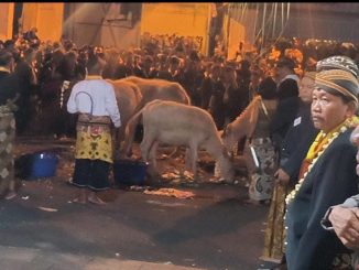 Suasana kirab malam 1 suro yang dihadiri Menteri Kebudayaan Fadli Zon - IST