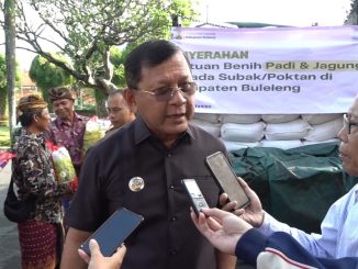 Bupati Buleleng I Nyoman Sutjidra - IST