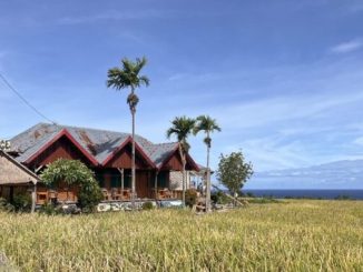 slow travelling Waerebo Logde, Homestay di hamparan sawah di desa Dintor - ERV