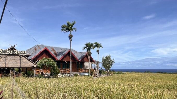 slow travelling Waerebo Logde, Homestay di hamparan sawah di desa Dintor - ERV