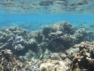 liburan ke bali wajib eksplore karangasem ada wisata amed untuk pencinta snorkeling