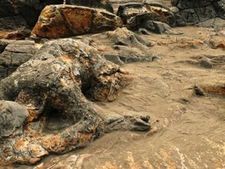 Patung Malin Kundang di Pantai Air Manis, Sumatera Barat. Kisah tentang kutukan seorang ibu - IST
