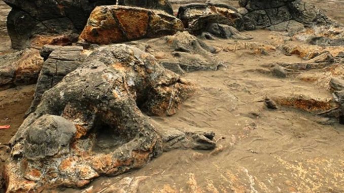 Patung Malin Kundang di Pantai Air Manis, Sumatera Barat. Kisah tentang kutukan seorang ibu - IST