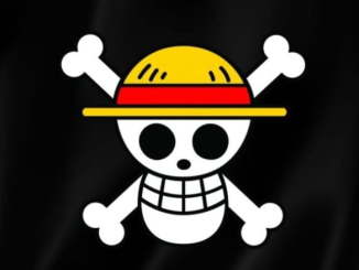 Bendera one piece - IST