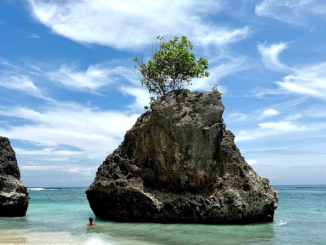 pantai bingin atau bingin beach di pecatu badung menjadi daya tarik di bali sekaligus polemik berkepanjangan