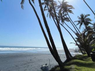 pantai pasut menjadi destinasi wisata di tabanan yang wajib di kunjungi