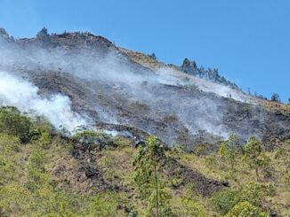 Kebakaran lahan di kawasan konservasi Taman Wisata Alam (TWA) Bukit Payang, Kecamatan Kintamani, Kabupaten Bangli, Bali, Jumat (3/10).- IST
