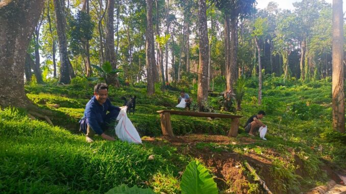 hutan