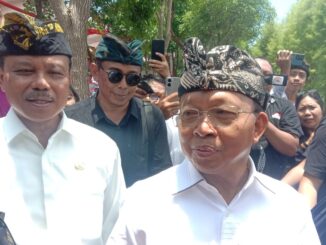 Gubernur Bali Wayan Koster - IST