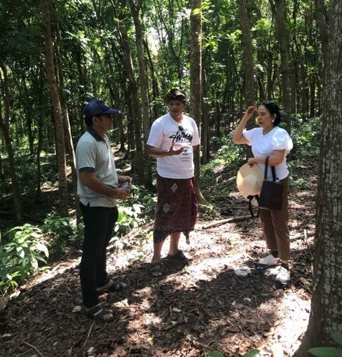 Diskusi berlangsug di Hutan Desa Lebih antara Ketua Pengadian pada Masyarakat Bapak Dr. Ir. I Kadek Merta Wijaya, S.T., M.Sc. (kanan), Kepala Desa Lebih Bapak I Wayan Agus Muliana, S.AP. (tengah), dan salah satu anggota Pengabdian pada Masyarakat (kiri). - IST