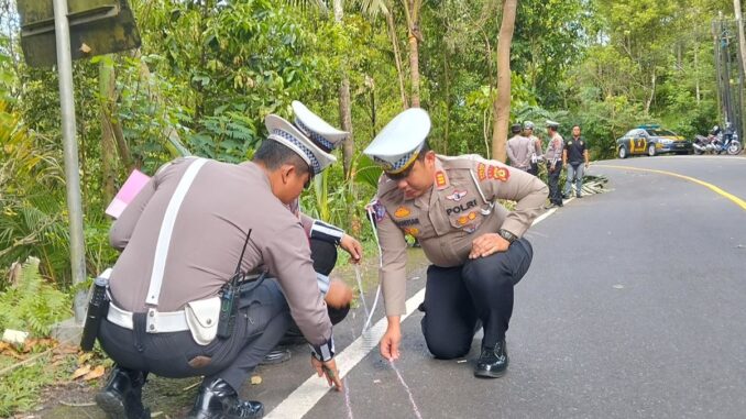 Polisi melakukan oleh TKP kecellakaan yang menewaskan 5 turis china di Buleleng, Bali - IST