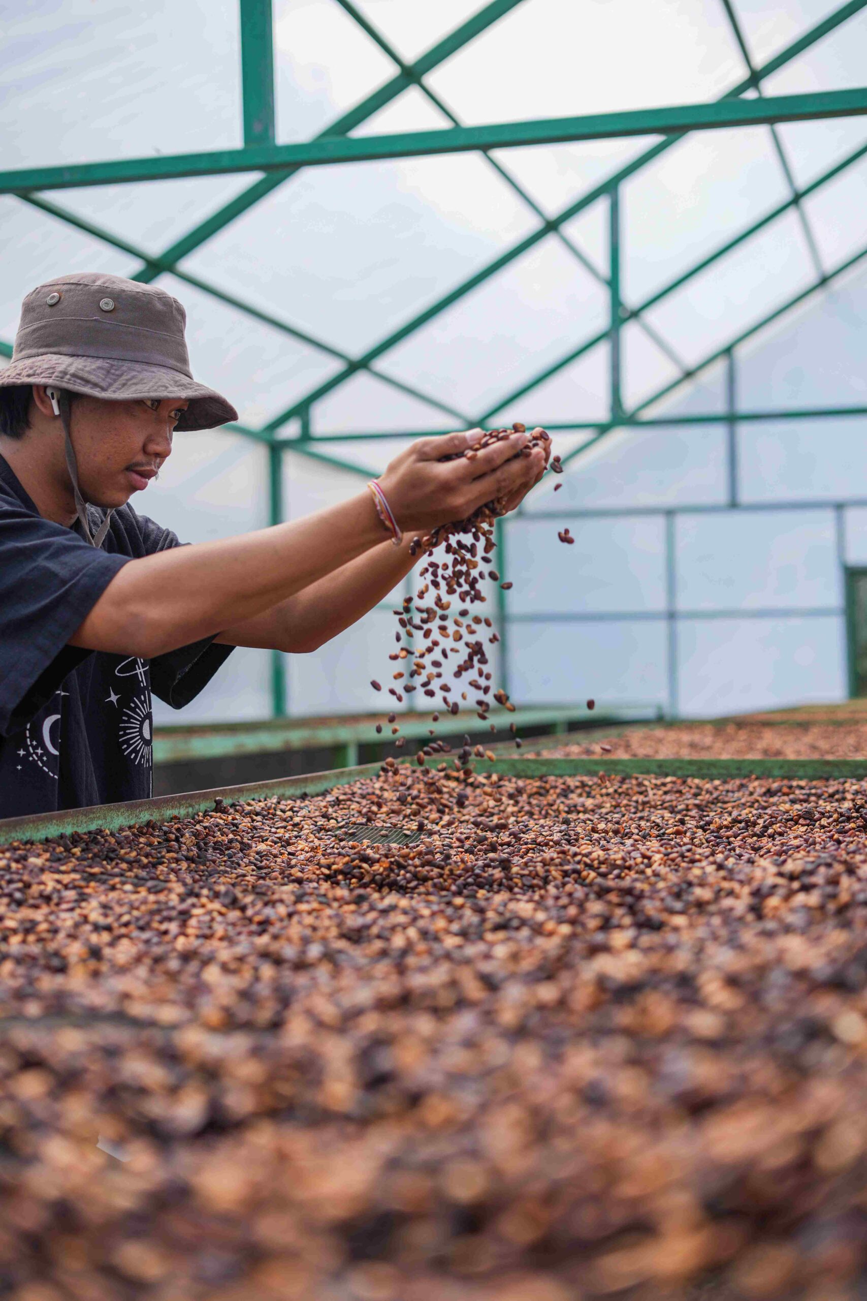 Pengolahan kopi di Beans & Coffee - IST
