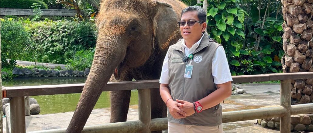 Kepala Balai KSDA Bali, Ratna Hendratmoko, Kamis (15/1/2026) saat mengumumkan larangan atraksi tunggang gajah - IST