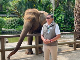 Kepala Balai KSDA Bali, Ratna Hendratmoko, Kamis (15/1/2026) saat mengumumkan larangan atraksi tunggang gajah - IST