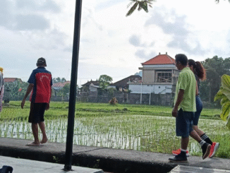 Warga Denpasar menikmati bentang sawah dari Subak Sembung, Kota Denpasar, Bali, Sabtu (21/2/2026) sore. Subak sebagai salah satu organsisasi tradisional pertanian di Bali, berupaya bertahan ratusan tahun adanya, meski mendapat gempuran dari beragam perubahan mulai dari irigasi, lahan hingga iklim. - IST