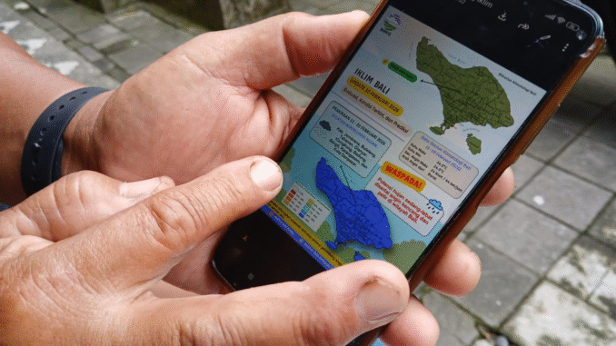 Pekaseh Subak Padanggalak, Kota Denpasar, Ketut Losen memperlihatkan whatsapp grup subaknya dari telepon genggam pintarnya mengenai informasi prakiraan cuaca dari BMKG Wilayah Denpasar, Jumat (13/2/2026). Informasi ini merupakan prakiraan cuaca setiap 10 harian (dasarian) dan membantunya beserta anggota subak mengambil keputusan untuk mengelola sawahnya kedepan. (Foto : KanalBali.id/Ayu Sulistyowati)