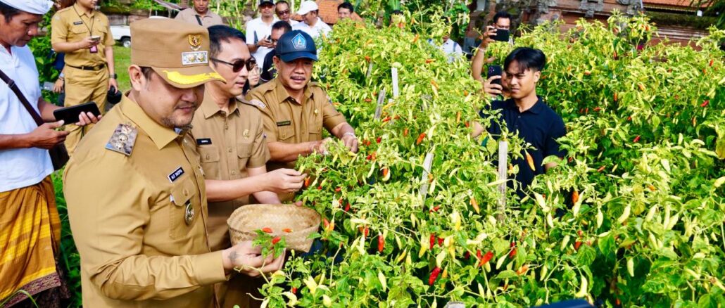 Wabup Bagus Alit Sucipta saat melakukan pemantauan ke sejumlah sentra produksi dan pengolahan pangan utama serta strategis di Kabupaten Badung, Senin (16/3). - IST