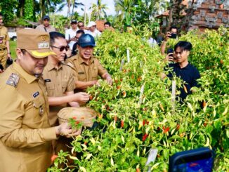 Wabup Bagus Alit Sucipta saat melakukan pemantauan ke sejumlah sentra produksi dan pengolahan pangan utama serta strategis di Kabupaten Badung, Senin (16/3). - IST