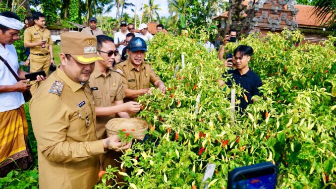 Wabup Bagus Alit Sucipta saat melakukan pemantauan ke sejumlah sentra produksi dan pengolahan pangan utama serta strategis di Kabupaten Badung, Senin (16/3). - IST