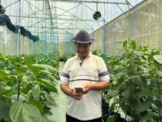 Made Sandi, petani asal Desa Bangli, Kecamatan Baturiti, Tabanan - IST