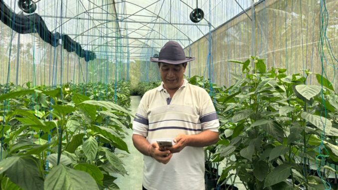 Made Sandi, petani asal Desa Bangli, Kecamatan Baturiti, Tabanan - IST