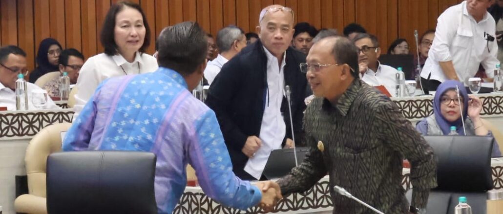 Gubernur Koster (Kanan) saat mengikuti RDP di DPR RI - IST