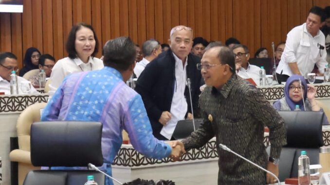 Gubernur Koster (Kanan) saat mengikuti RDP di DPR RI - IST