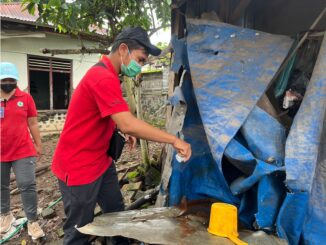 Pemeriksaan jentik nyamuk - IST