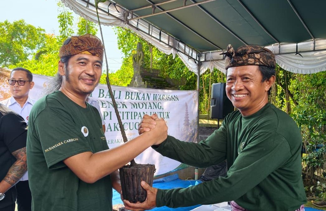 Penyerahan bibit pohon mangrove untuk dari Nusantara Carbon ke Satgas Mangrove - IST