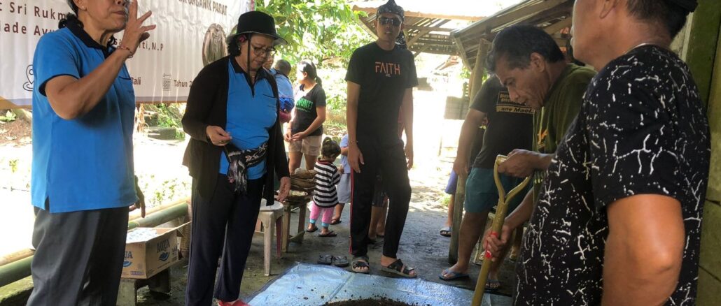 Pemberdayaan Kelompok Ketahanan Pangan Penebel Berlian Dalam Pengolahan Kotoran Sapi Menjadi Pupuk Organik Padat.- IST