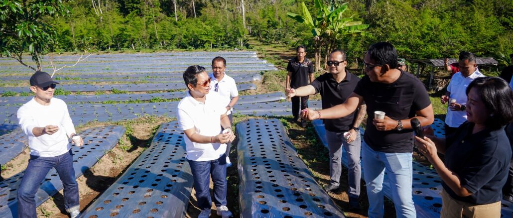 Bupati Wayan Adi Arnawa bersama Wabup Bagus Alit Sucipta saat meninjau Kawasan Badung Agro Techno Park di Desa Belok Sidan, Petang, Jumat (19/6). - IST