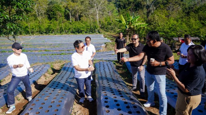 Bupati Wayan Adi Arnawa bersama Wabup Bagus Alit Sucipta saat meninjau Kawasan Badung Agro Techno Park di Desa Belok Sidan, Petang, Jumat (19/6). - IST