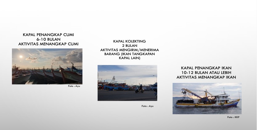 Jenis-jenis kapal penangkap ikan dan hasil laut lainnya - IST