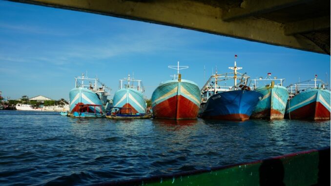Kapal-kapal penangkap ikan di Pelabuhan Benoa - IST