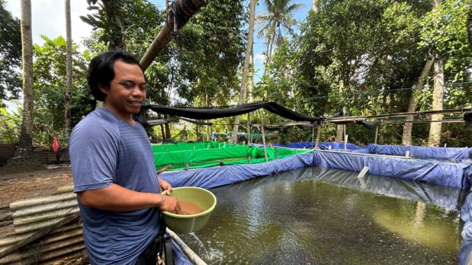 I Nyoman Miasa (35), pelaku usaha pembibitan lele asal Banjar Panglan Kelod, Desa Kapal, Badung _ IST