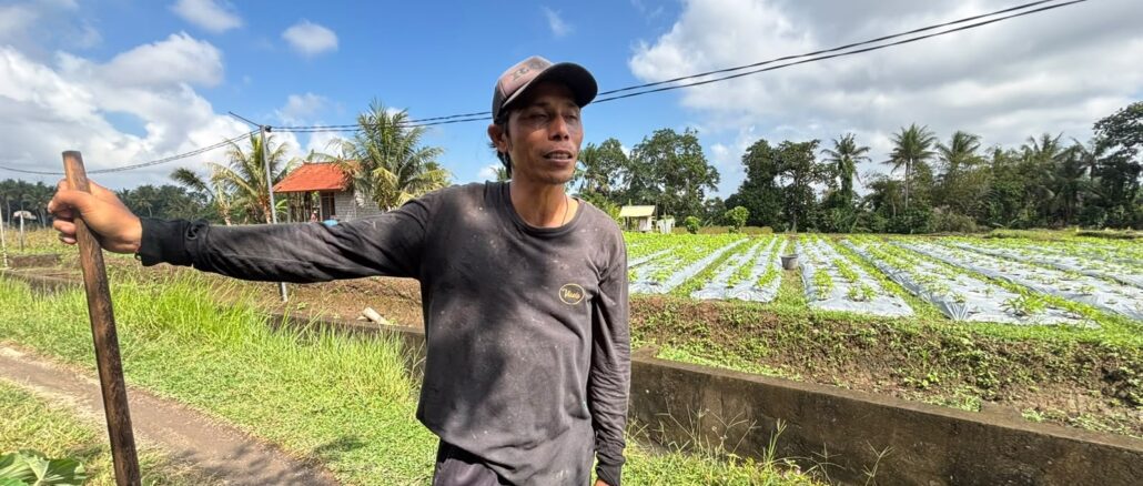 Made Tarji, petani bunga pacah di Banjar Panglan Kelod, Desa Kapal, Kabupaten Badung- IST