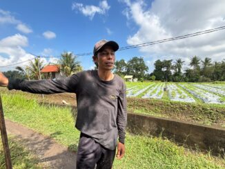 Made Tarji, petani bunga pacah di Banjar Panglan Kelod, Desa Kapal, Kabupaten Badung- IST