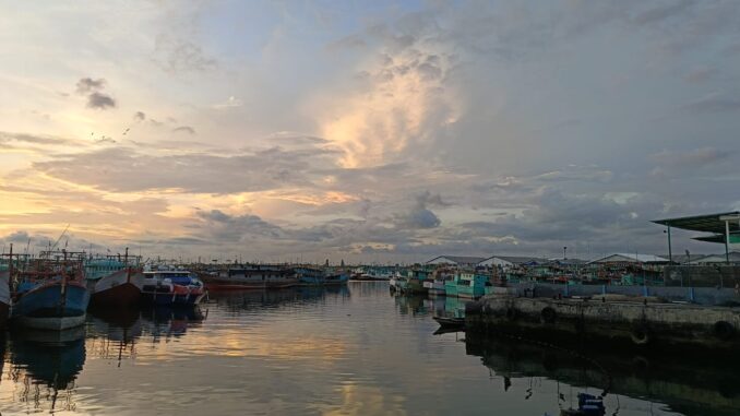Suasana senja di Pelabuhan Benoa, Denpasar, Bali - IST
