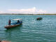 Suasana di Pelabuhan Benoa, Denpasar, Bali- IST