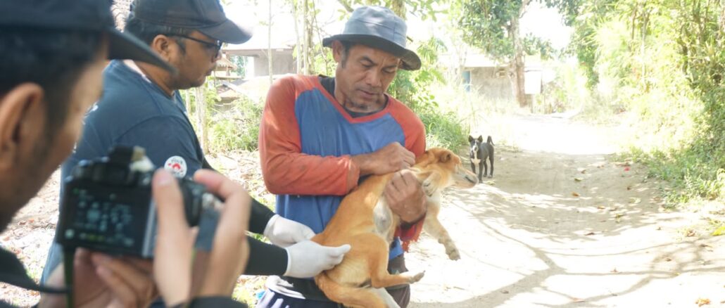 Vaksinasi rabies di Kintamani, Bangli - IST
