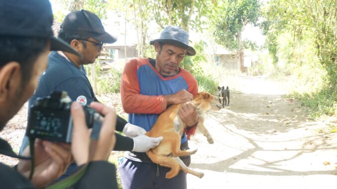 Vaksinasi rabies di Kintamani, Bangli - IST