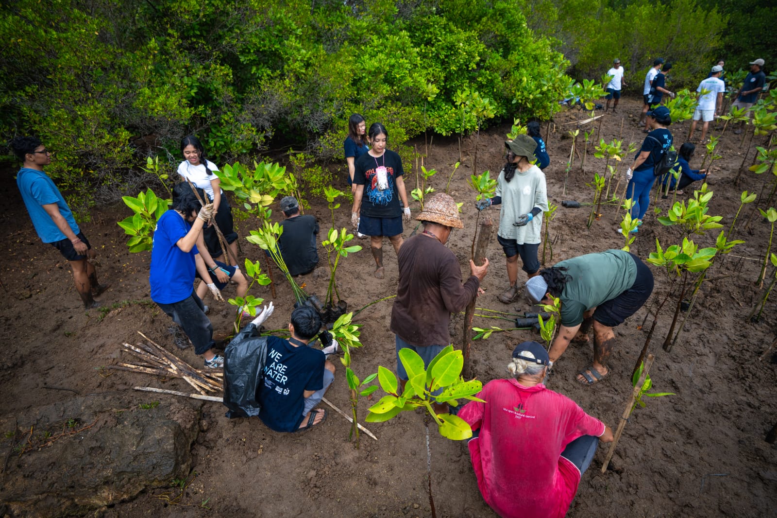 Aksi penanaman 1.200 bibit mangrove di kawasan pesisir Jimbaran, Kabupaten Badung, Sabtu (25/7/2026) - IST