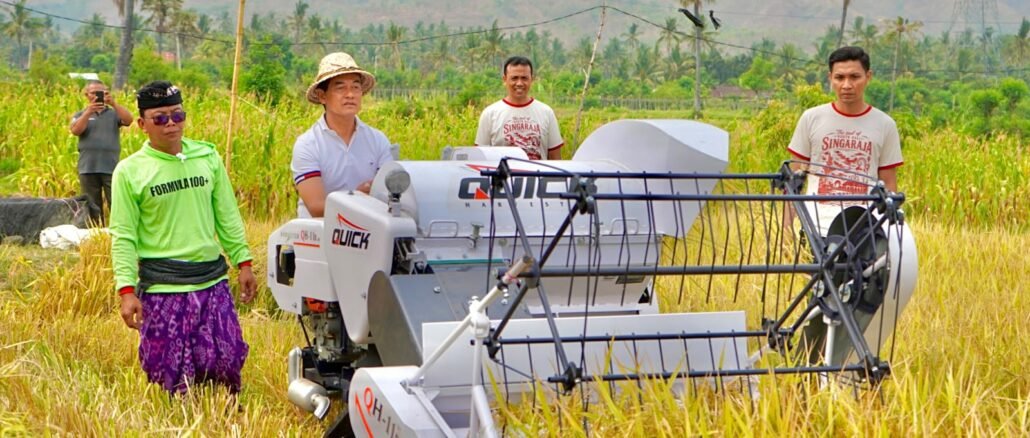 Wabup Supriatna pada panen bersama padi Bridantara 8 di lahan seluas lima hektare milik Pemerintah Kabupaten Buleleng, tepatnya di Balai Benih Grokgak, Desa Sangalangit, Kecamatan Gerokgak, Selasa (27/10) - IST